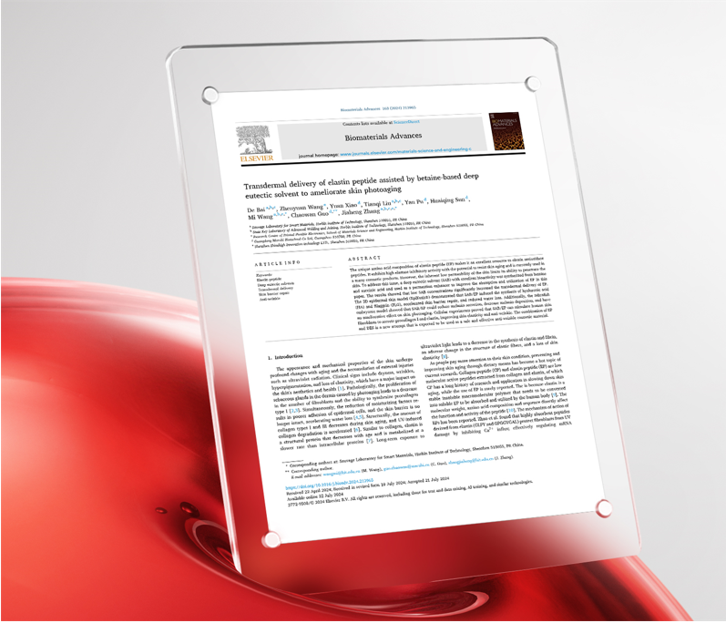 首创！| 1066vip威尼斯新型生物质料获顶级SCI期刊《Biomaterials Advances》揭晓！